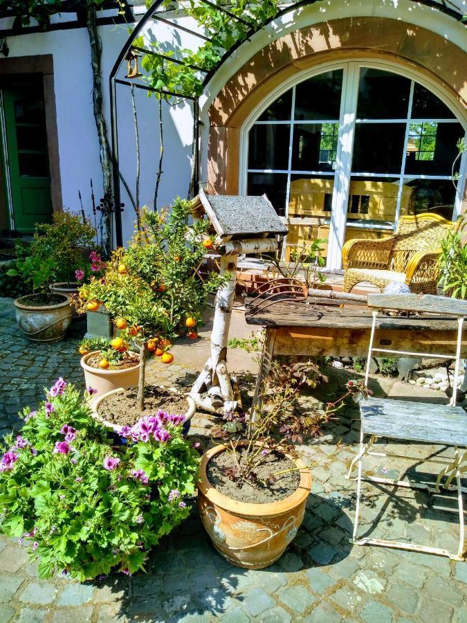 Apartamento Oase Der Geborgenheit Venningen Exterior foto