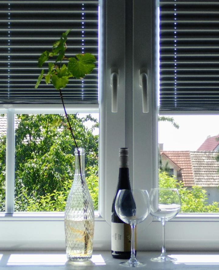 Apartamento Oase Der Geborgenheit Venningen Exterior foto